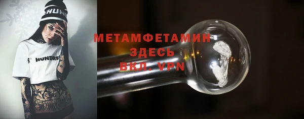 прущие грибы Приозерск