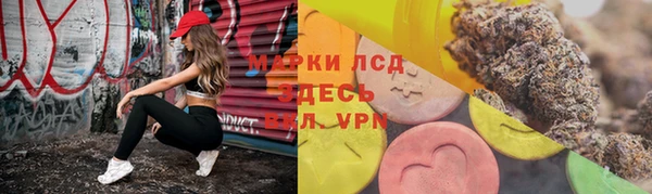 сатива Алексин