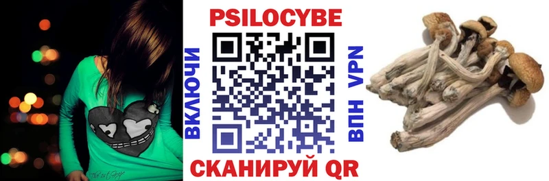 цены наркотик  Лесосибирск  Псилоцибиновые грибы Psilocybine cubensis 
