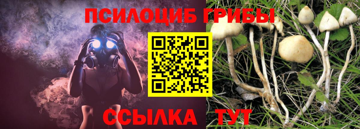 Псилоцибиновые грибы мухоморы  Вход с VPN  где купить наркотик  Лесосибирск 